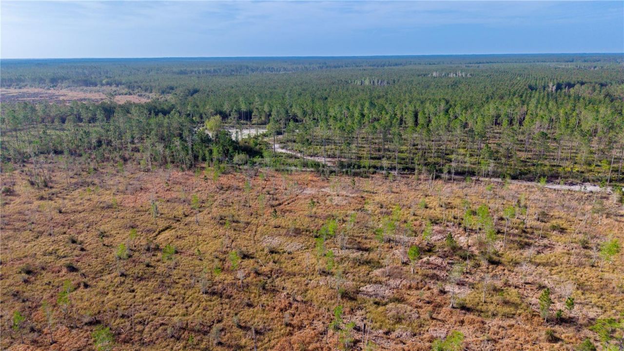 Tbd NE 83rd Way , Gainesville, FL 32609 Photo