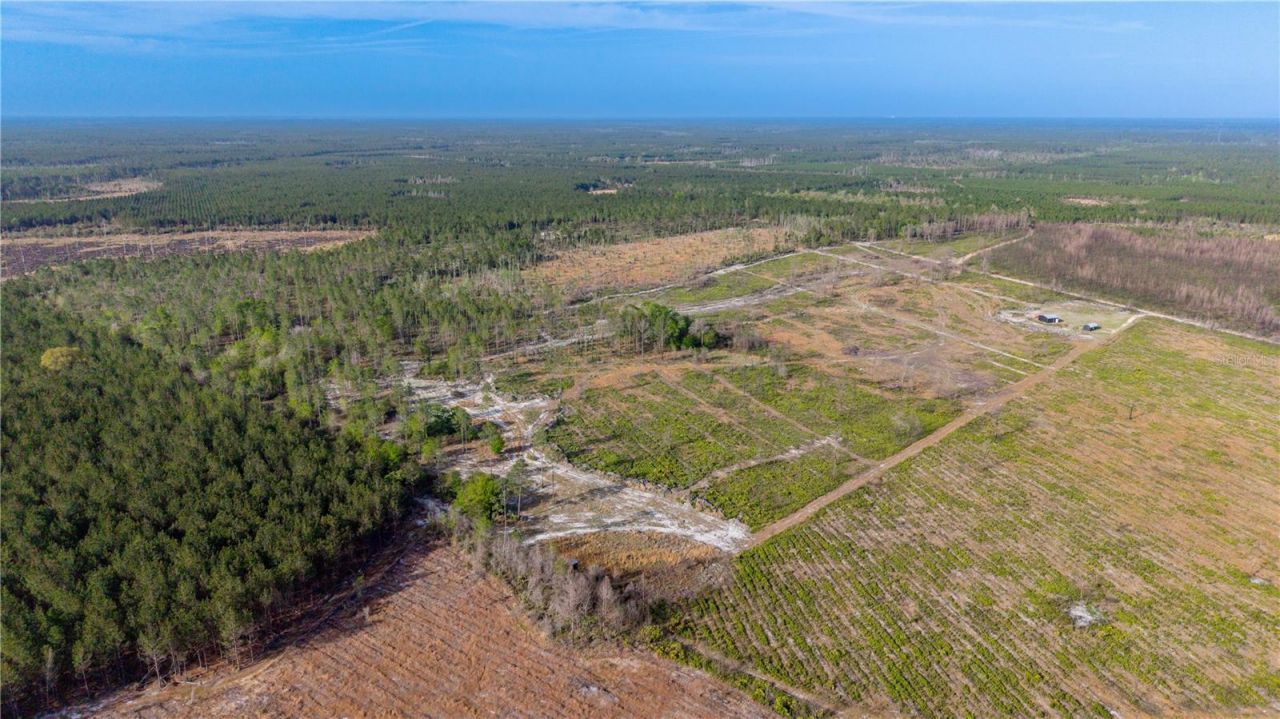 Tbd NE 83rd Way , Gainesville, FL 32609 Photo