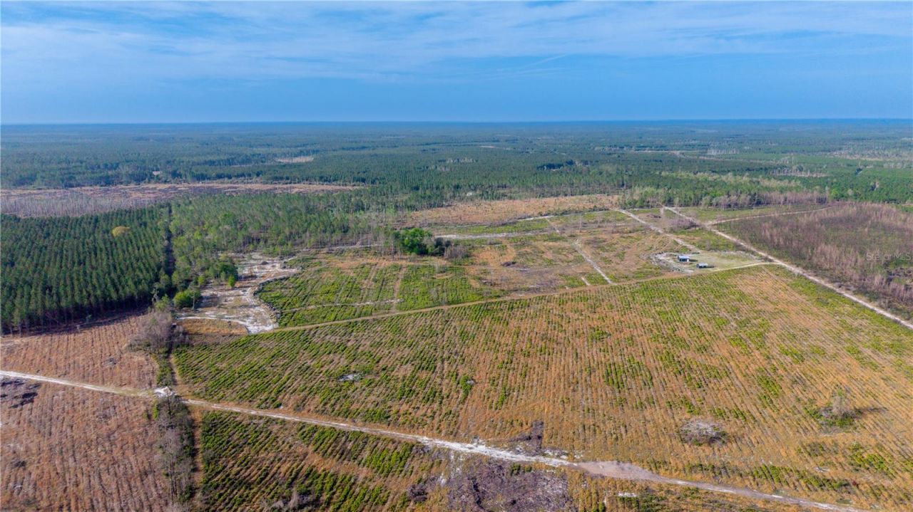 Tbd NE 83rd Way , Gainesville, FL 32609 Photo