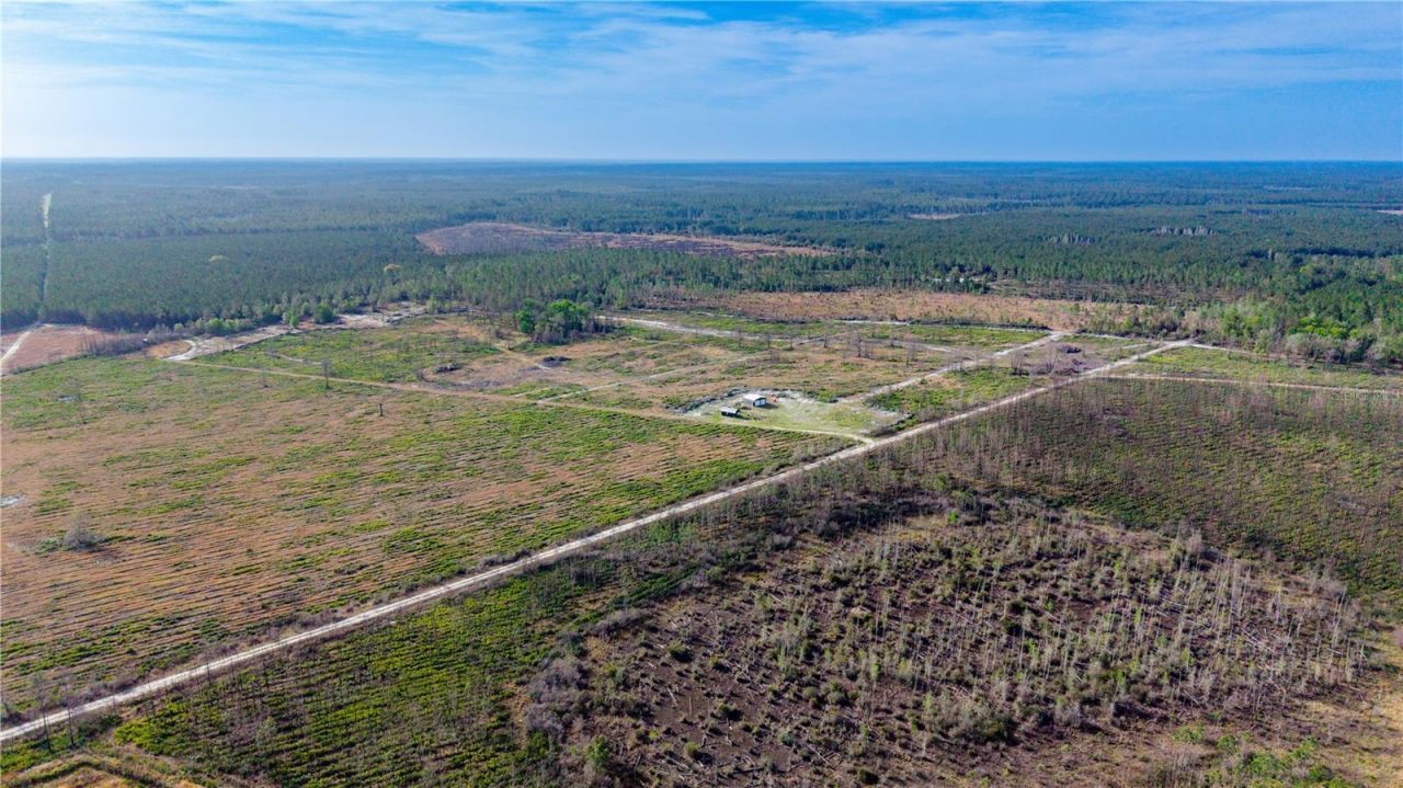 Tbd NE 83rd Way , Gainesville, FL 32609 Photo