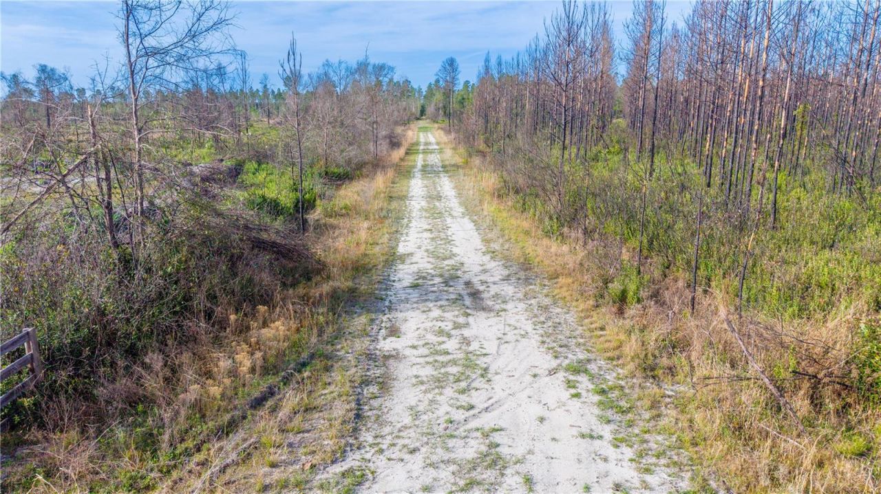 Tbd NE 83rd Way , Gainesville, FL 32609 Photo