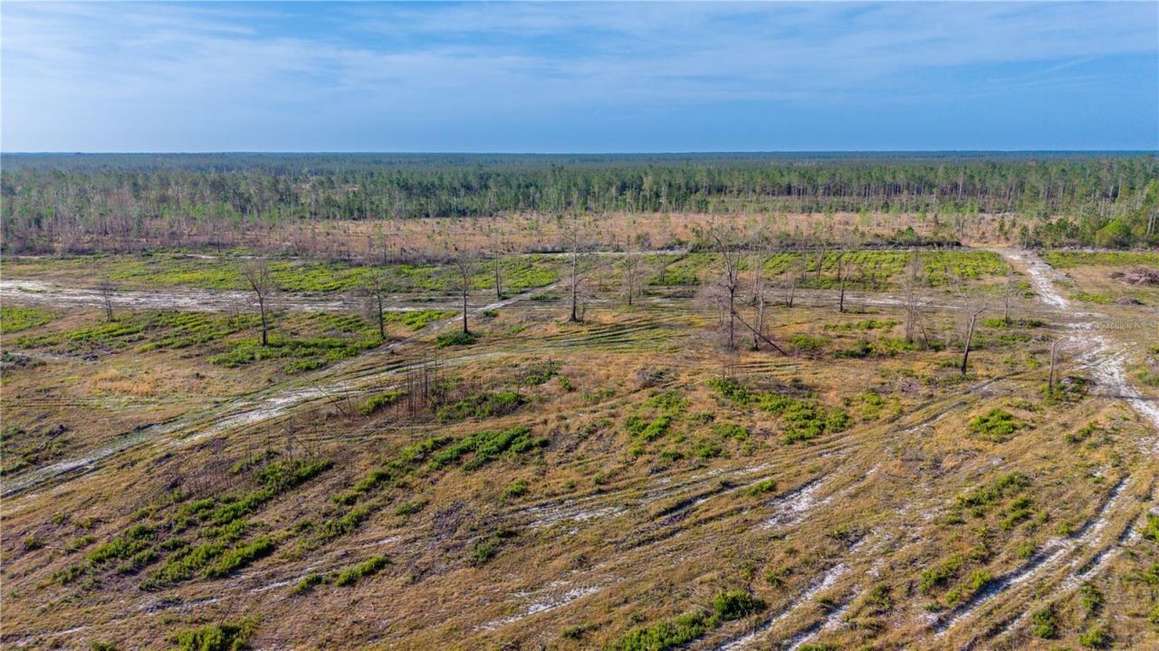 Tbd NE 83rd Way , Gainesville, FL 32609 Photo