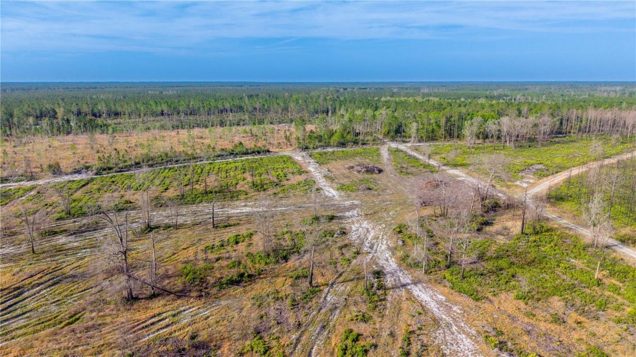 Tbd NE 83rd Way , Gainesville, FL 32609 Photo