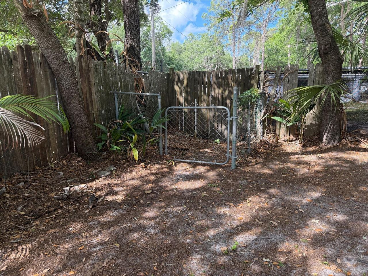 1257 Lynchburg Road , Lake Alfred, FL 33850 Photo