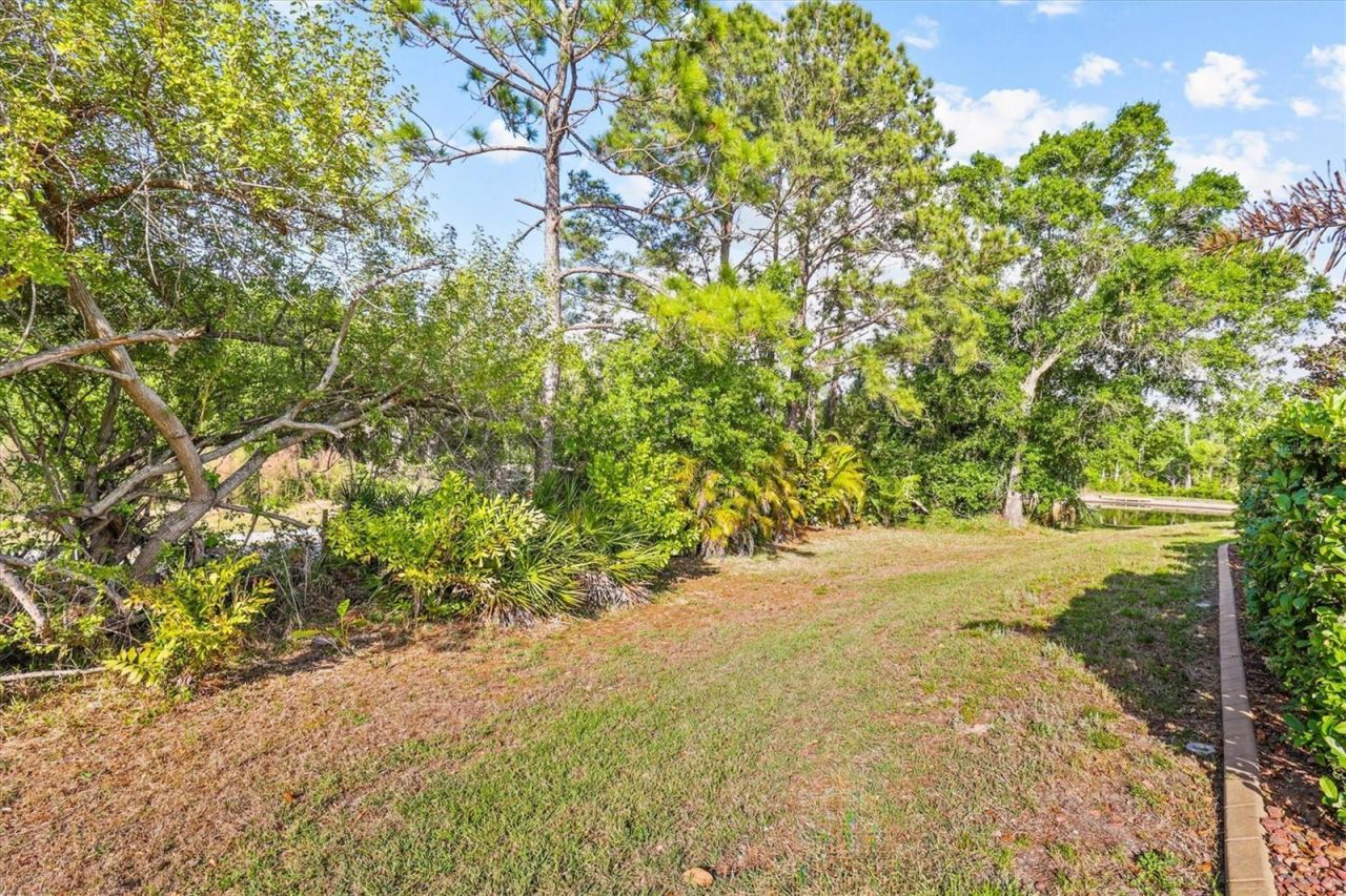 2945 Wood Pointe Drive, Holiday, FL 34691 Photo