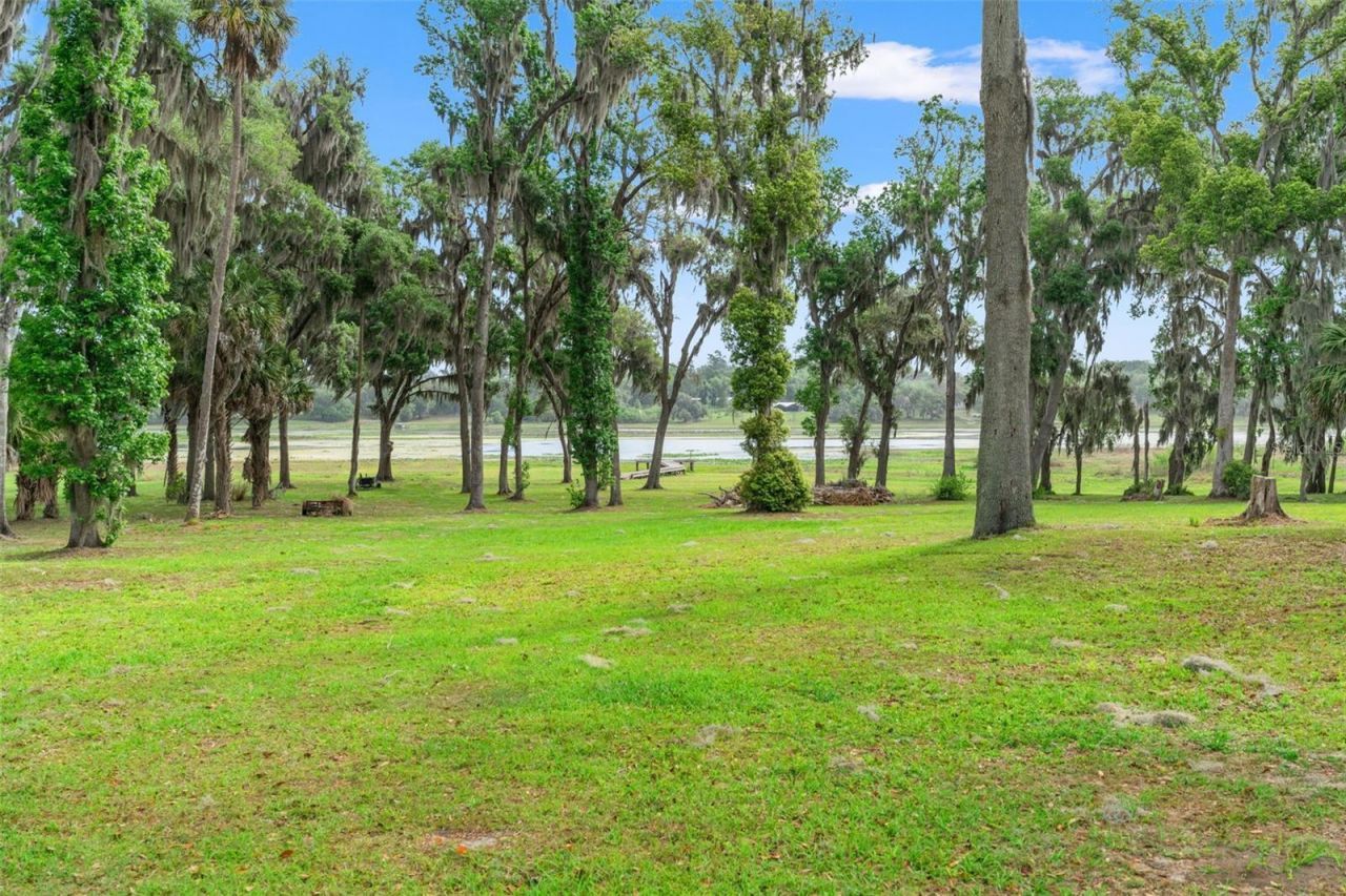 18420 Hancock Bluff Road, Dade City, FL 33523 Photo