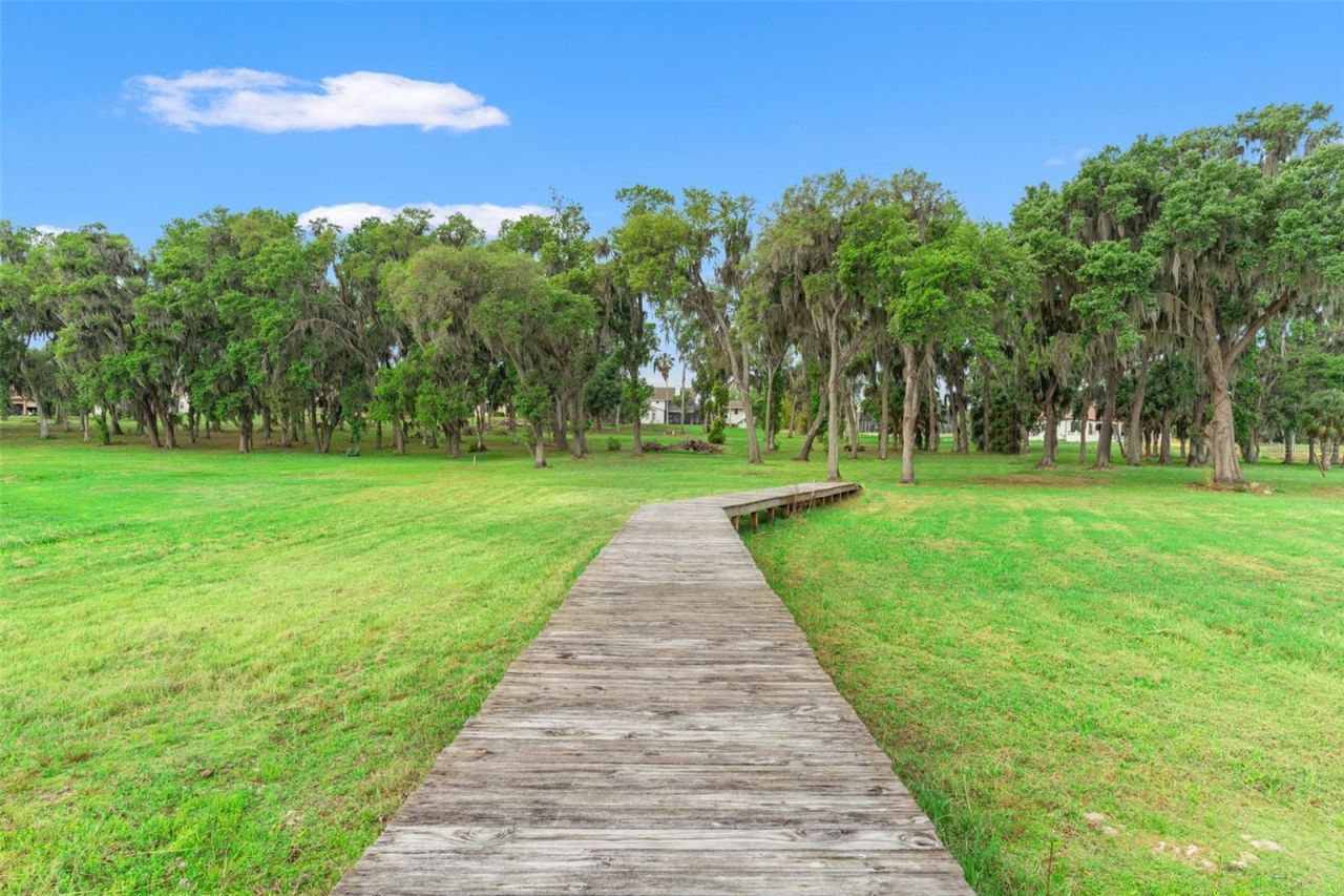 18420 Hancock Bluff Road, Dade City, FL 33523 Photo