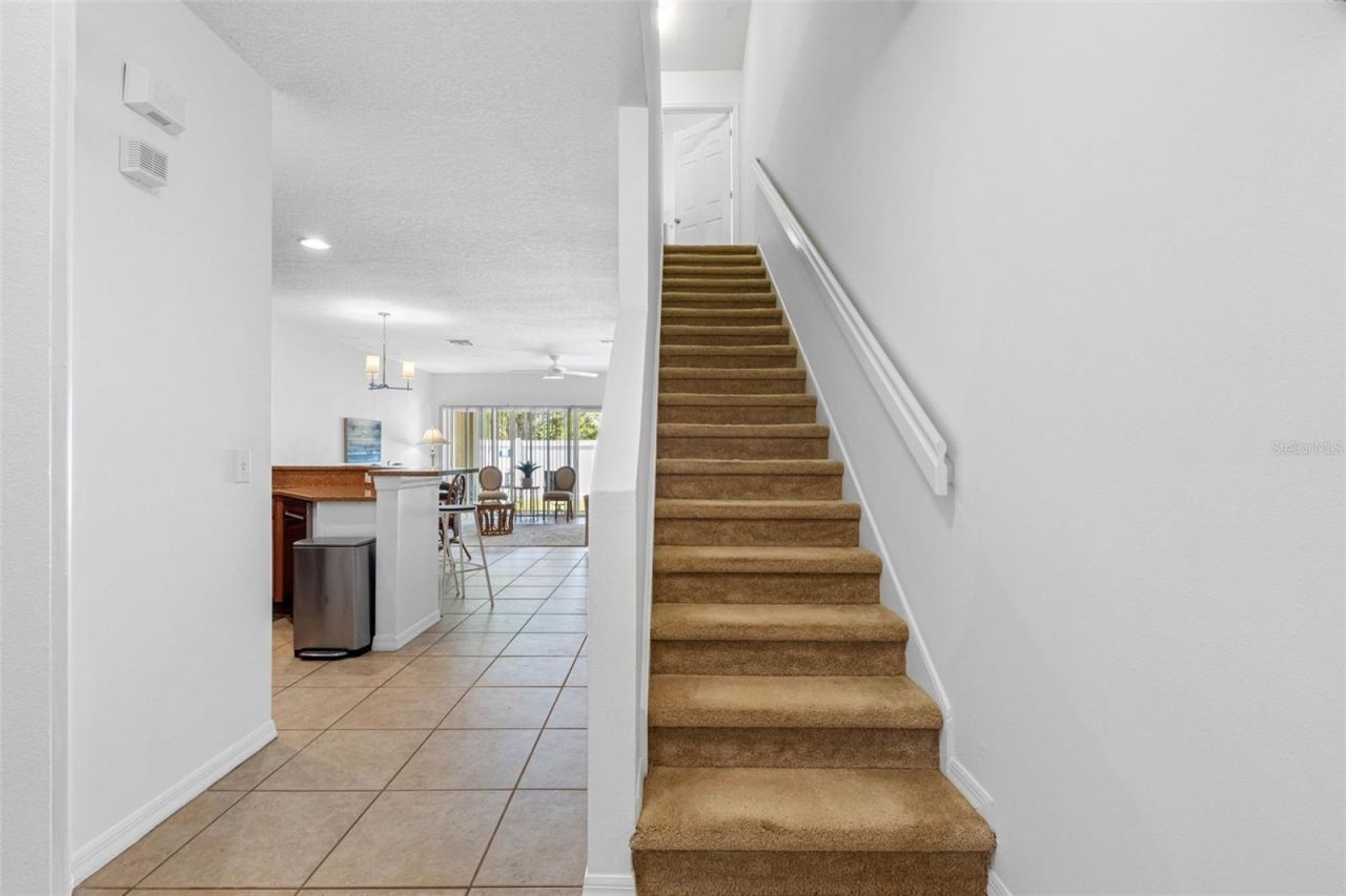 20470 Needletree Drive , Tampa, FL 33647 Photo