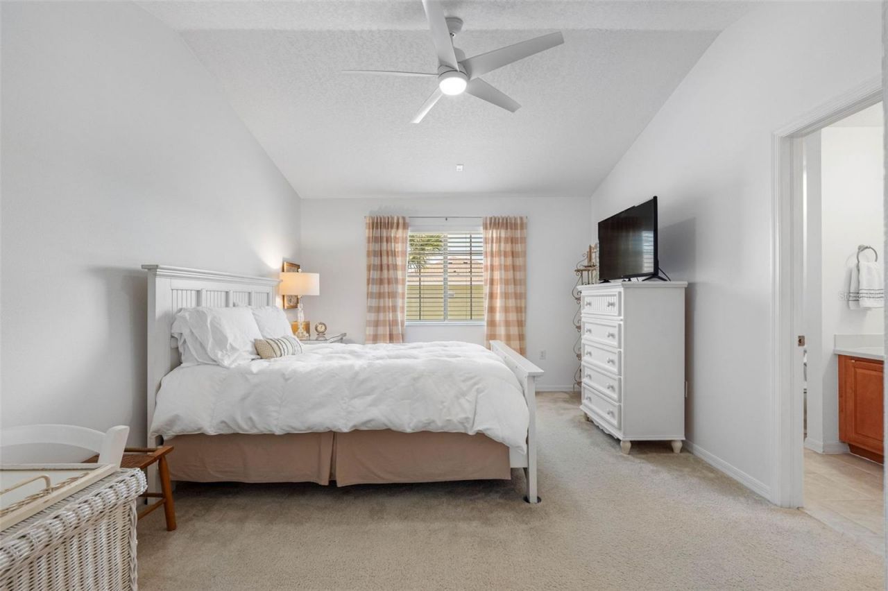 20470 Needletree Drive , Tampa, FL 33647 Photo