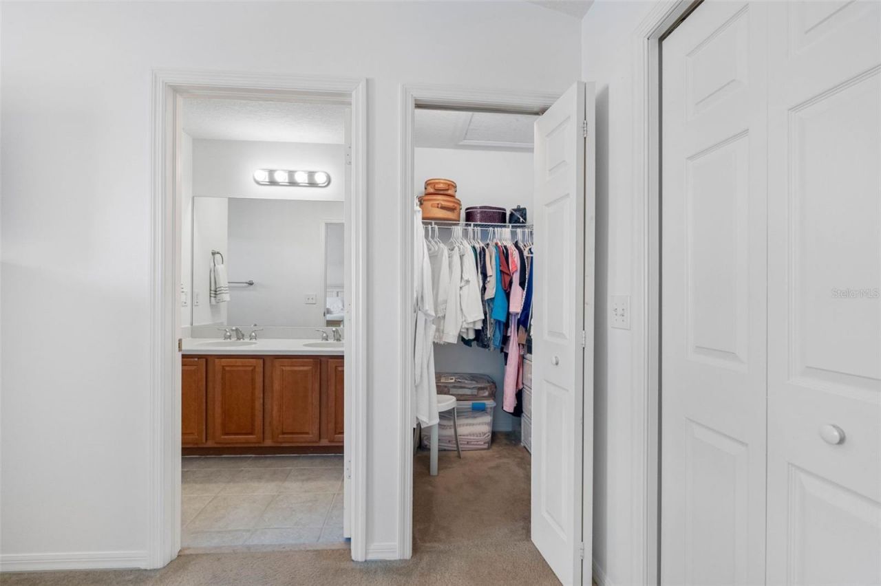 20470 Needletree Drive , Tampa, FL 33647 Photo