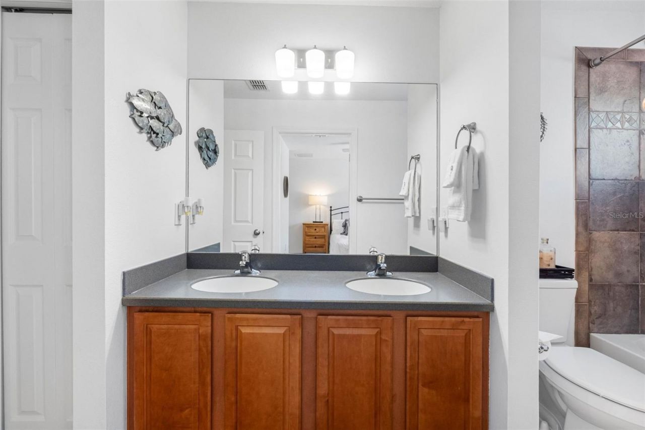 20470 Needletree Drive , Tampa, FL 33647 Photo