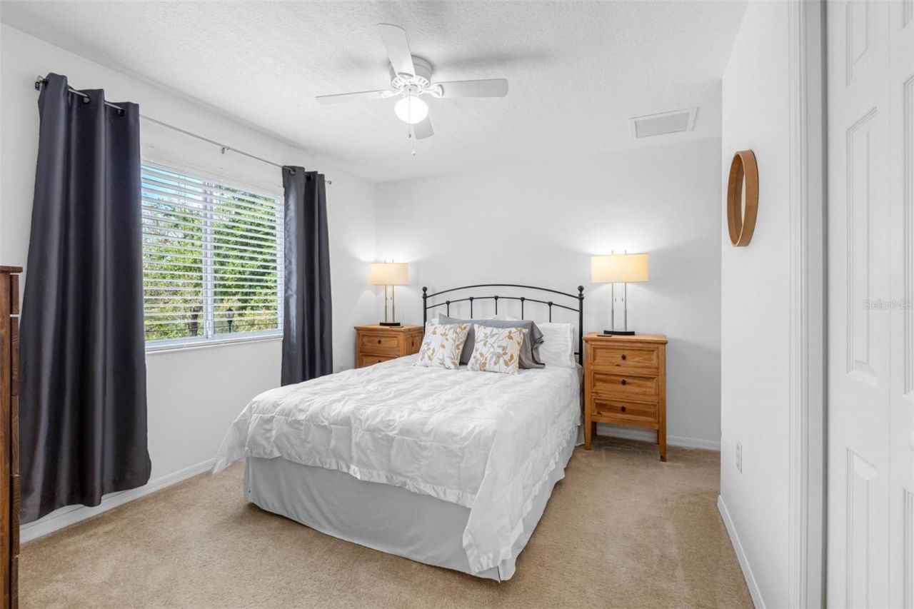 20470 Needletree Drive , Tampa, FL 33647 Photo