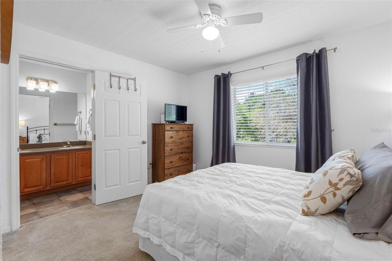 20470 Needletree Drive , Tampa, FL 33647 Photo