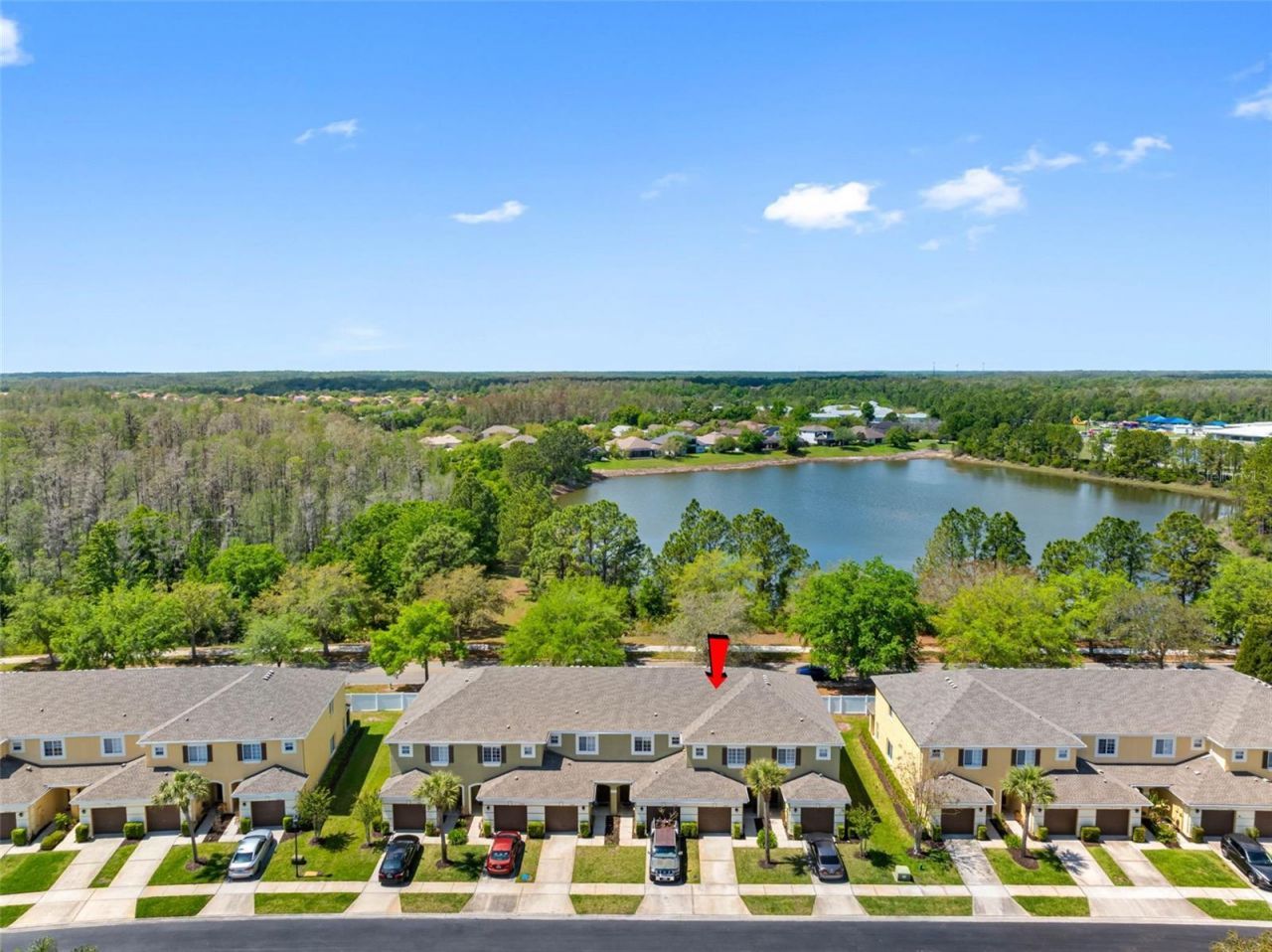 20470 Needletree Drive , Tampa, FL 33647 Photo