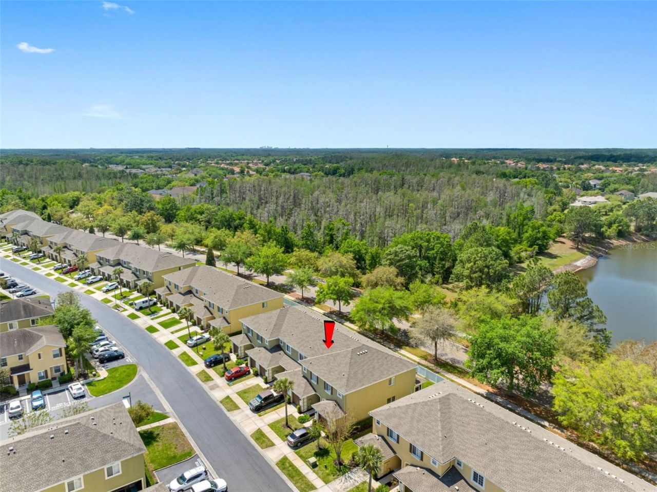 20470 Needletree Drive , Tampa, FL 33647 Photo