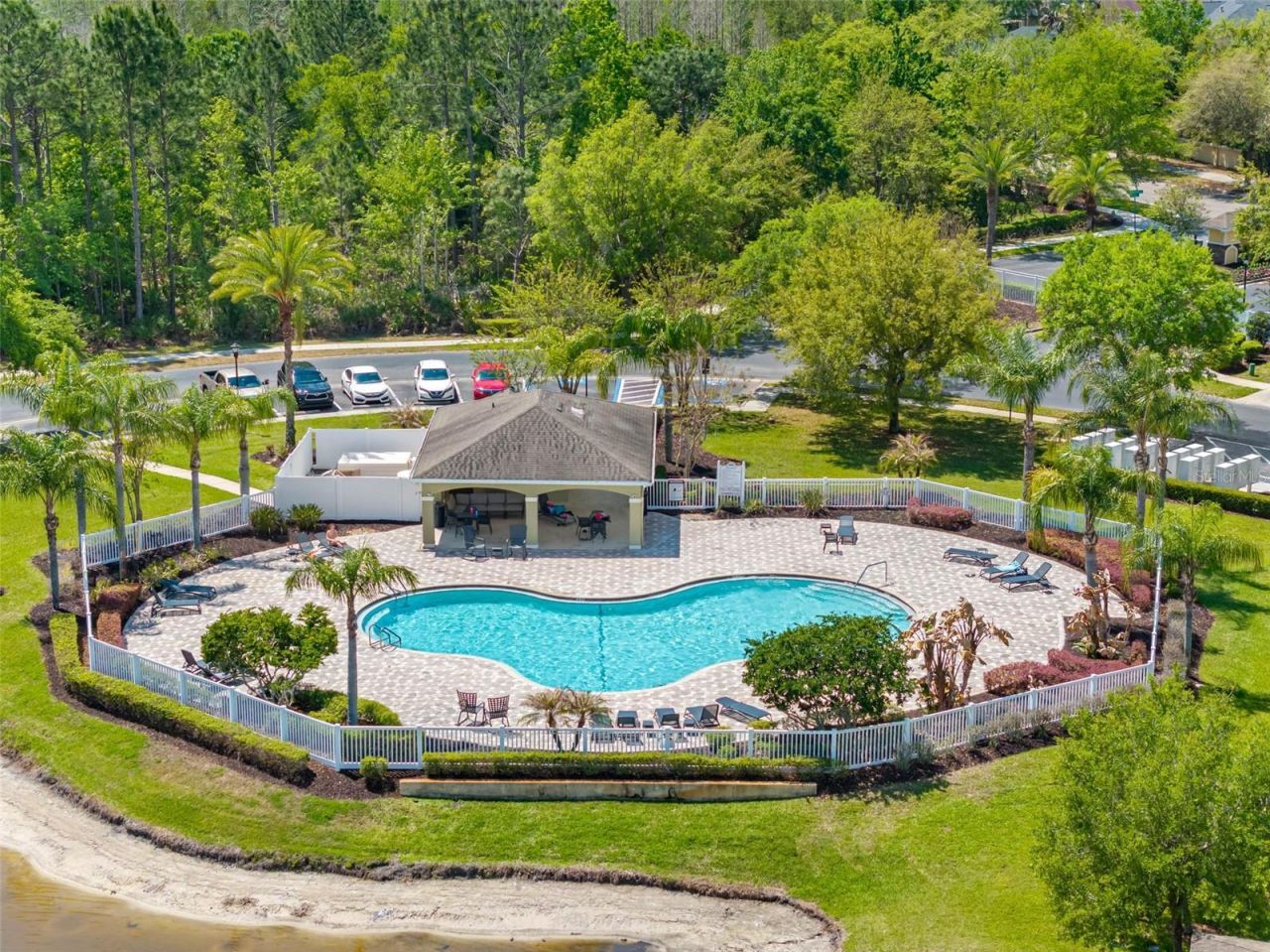 20470 Needletree Drive , Tampa, FL 33647 Photo