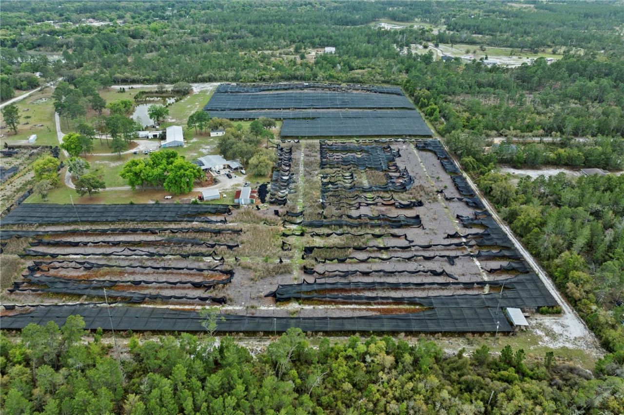 40945 Beach , Eustis, FL 32736 Photo