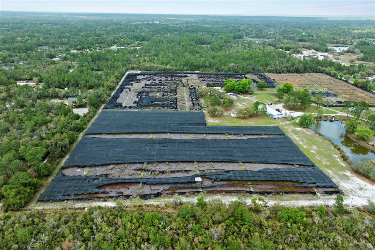 40945 Beach , Eustis, FL 32736 Photo