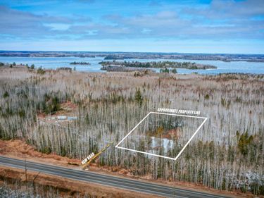 Parcel 12 TBD Hwy 115, Tower, MN 55790