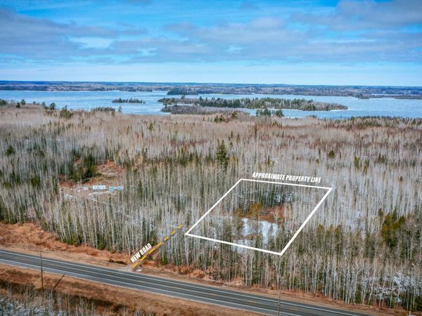 Parcel 12 TBD Hwy 115, Tower, MN 55790