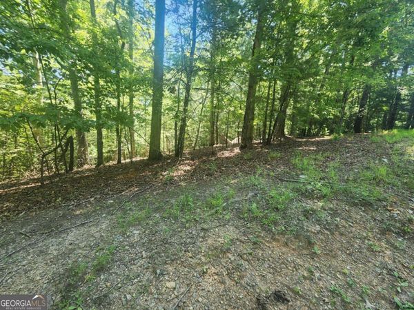 LOT 3 Meadow View Drive, Unit 3, Morganton, GA 30560