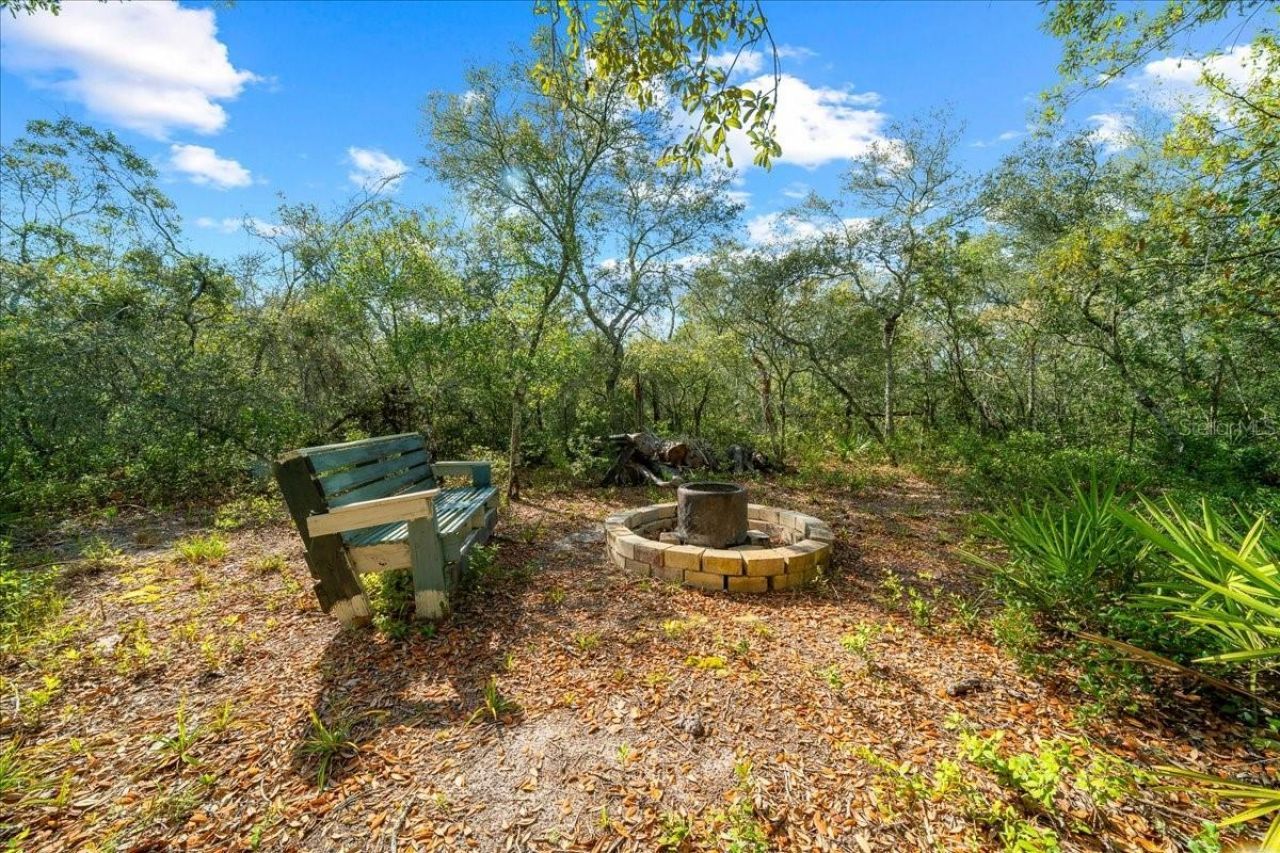 15605 NE 236th Street , Fort Mc Coy, FL 32134 Photo