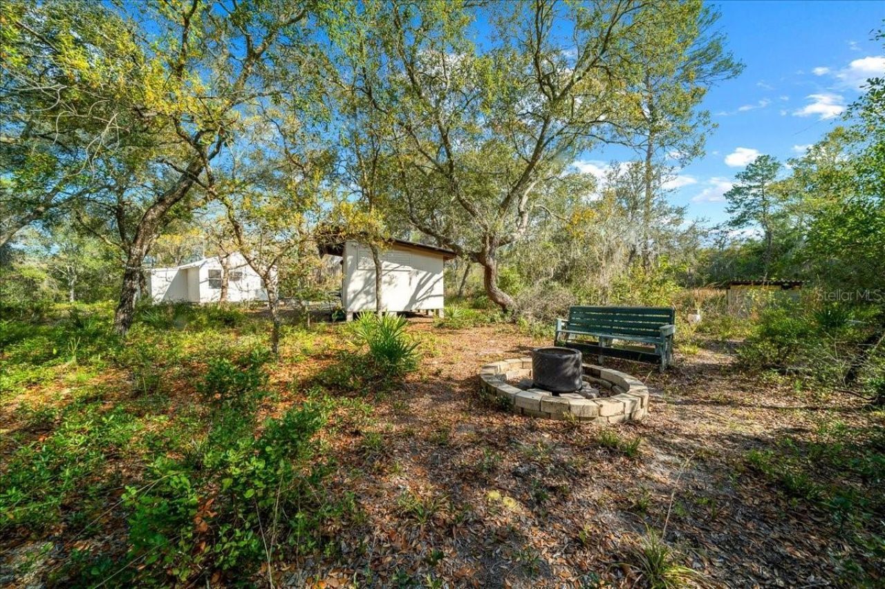 15605 NE 236th Street , Fort Mc Coy, FL 32134 Photo