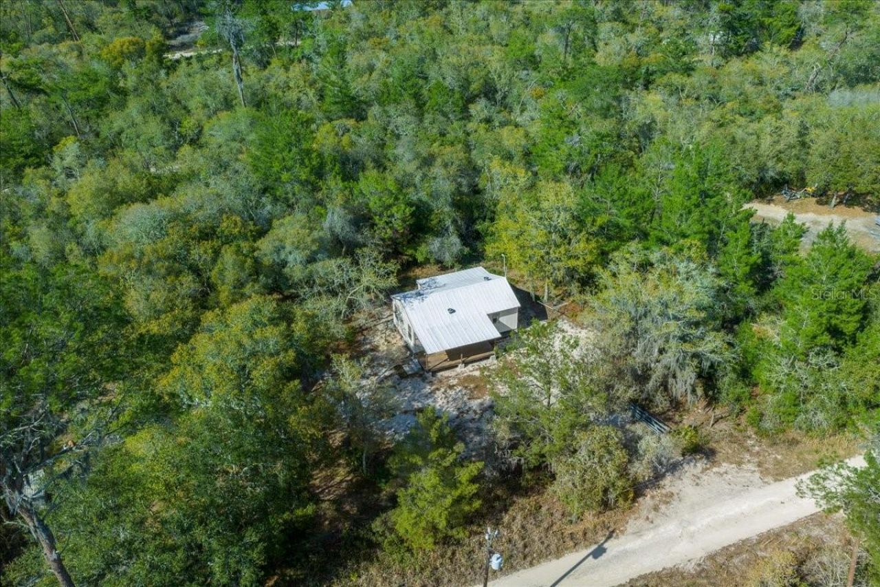 15605 NE 236th Street , Fort Mc Coy, FL 32134 Photo