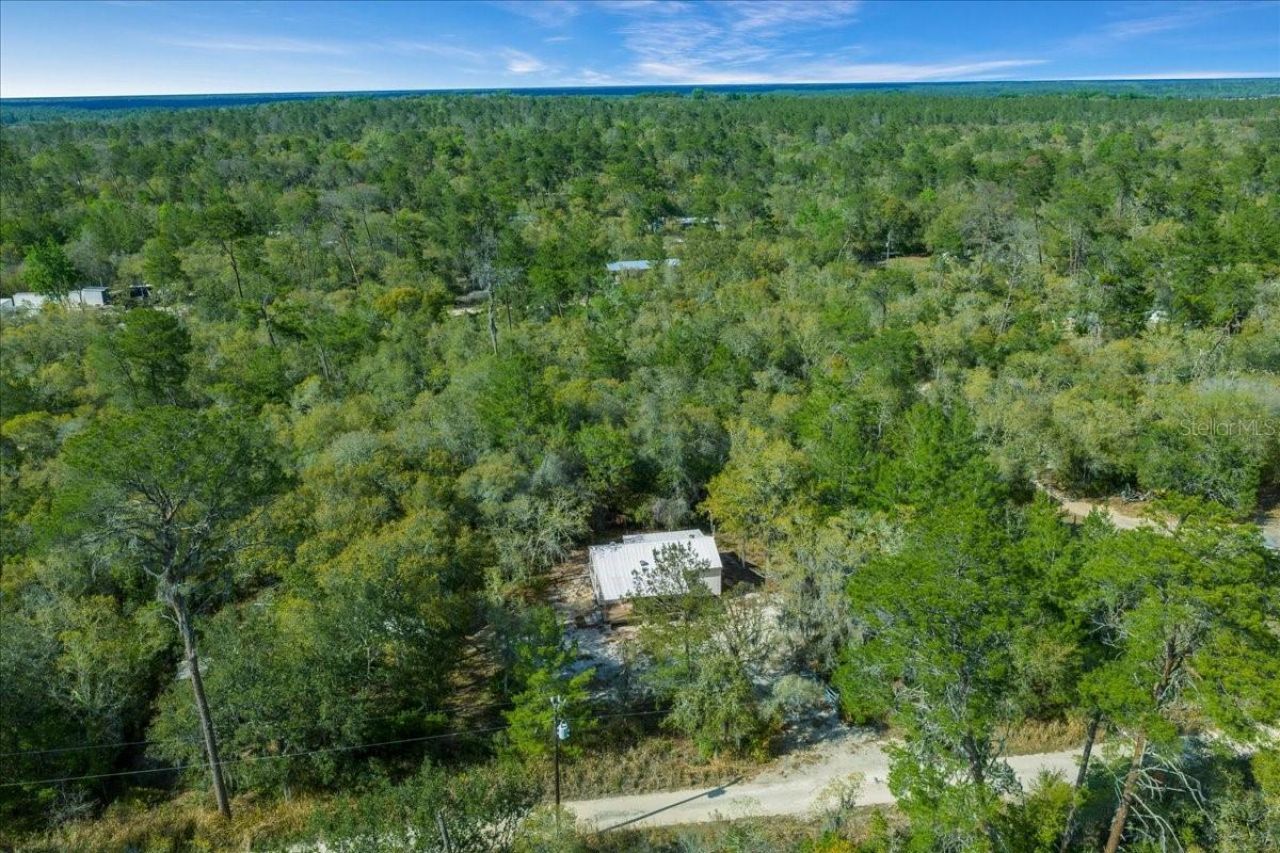 15605 NE 236th Street , Fort Mc Coy, FL 32134 Photo