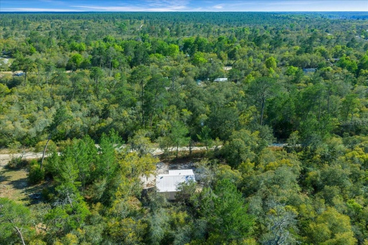 15605 NE 236th Street , Fort Mc Coy, FL 32134 Photo