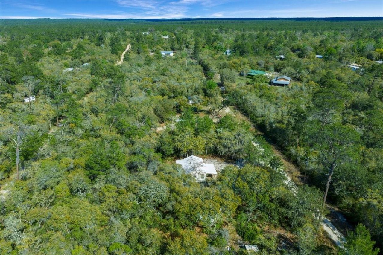 15605 NE 236th Street , Fort Mc Coy, FL 32134 Photo