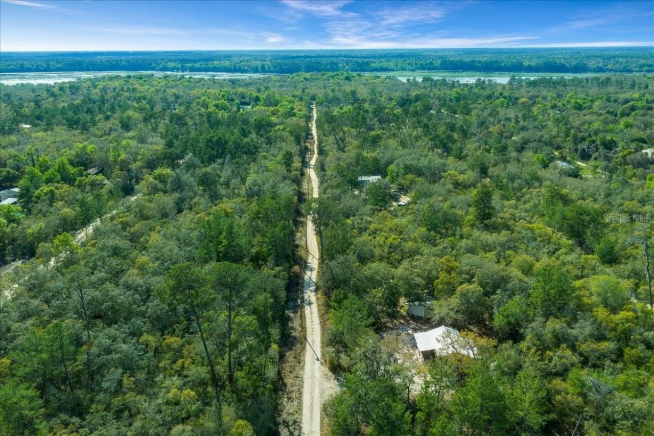 15605 NE 236th Street , Fort Mc Coy, FL 32134 Photo