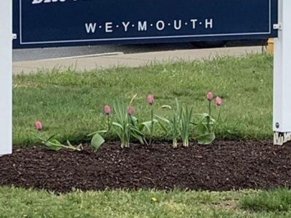 215 Winter St, Unit 3L, Weymouth, MA 02188