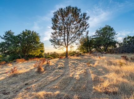 21088 Dalzell Rd, Smartville, CA 95977 Photo