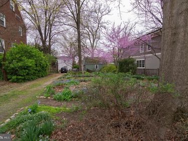 2401 N DICKERSON STREET , ARLINGTON, VA 22207