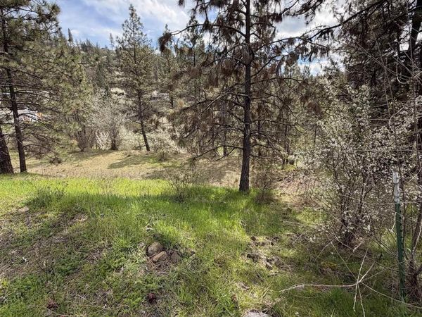 TBD Carlisle Ct Lots 11 & 15, Kamiah, ID 83536