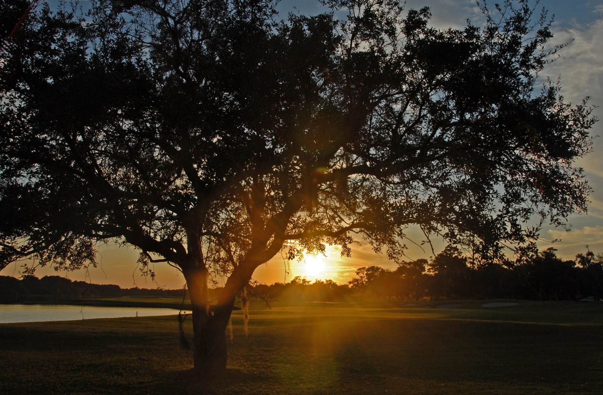 110 Swan Point Trail Photo 52