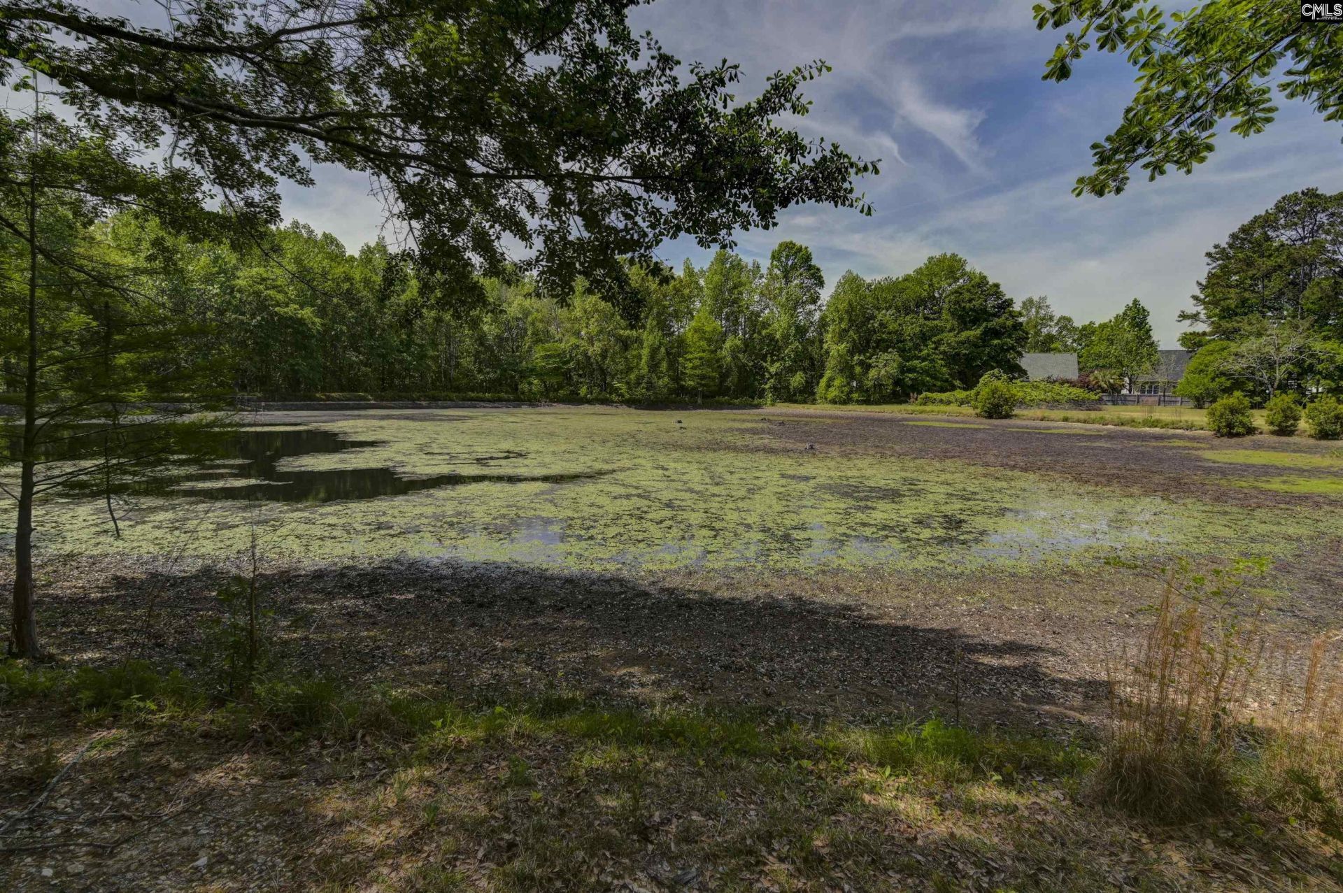 0 Highway 378 Photo 22