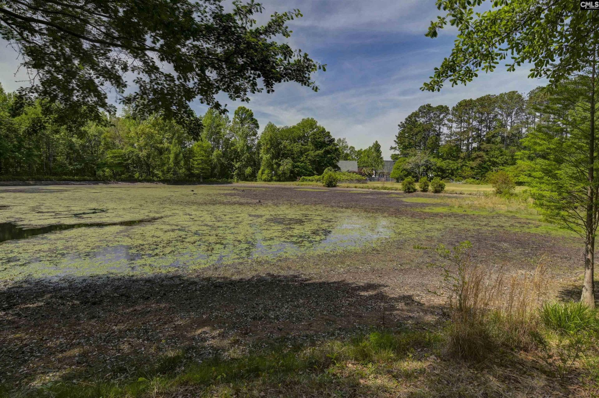 0 Highway 378 Photo 28