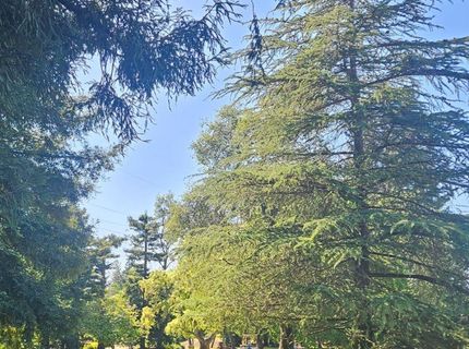 276 Meadowrock Way, Folsom, CA 95630 Photo