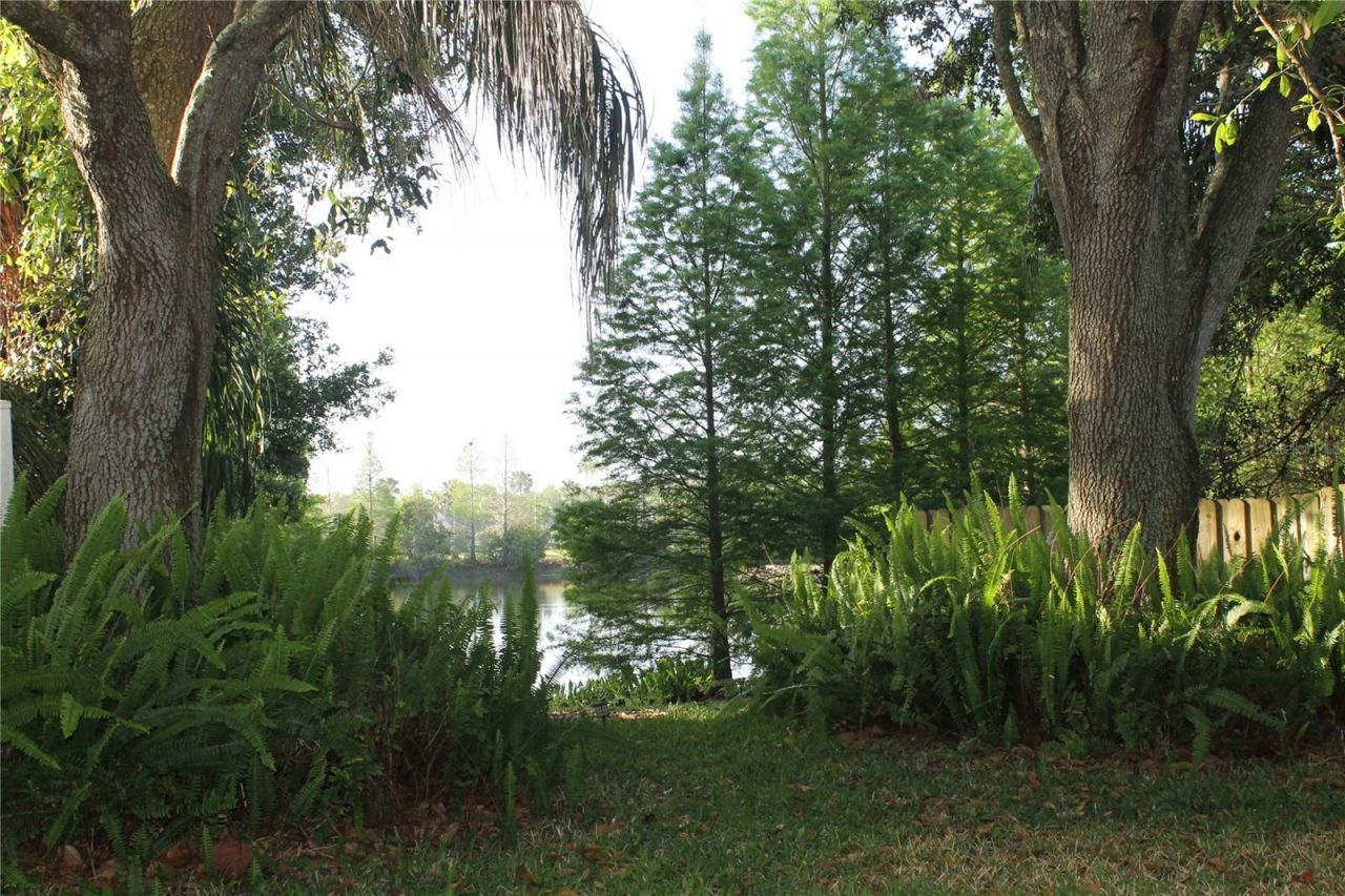 18035 Birdwater Drive , Tampa, FL 33647 Photo