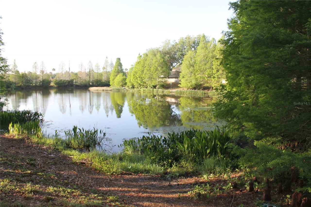 18035 Birdwater Drive , Tampa, FL 33647 Photo