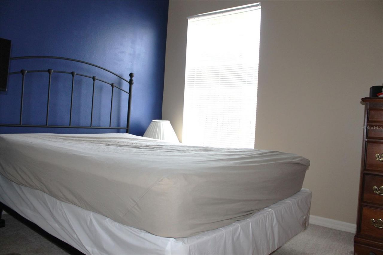 18035 Birdwater Drive , Tampa, FL 33647 Photo