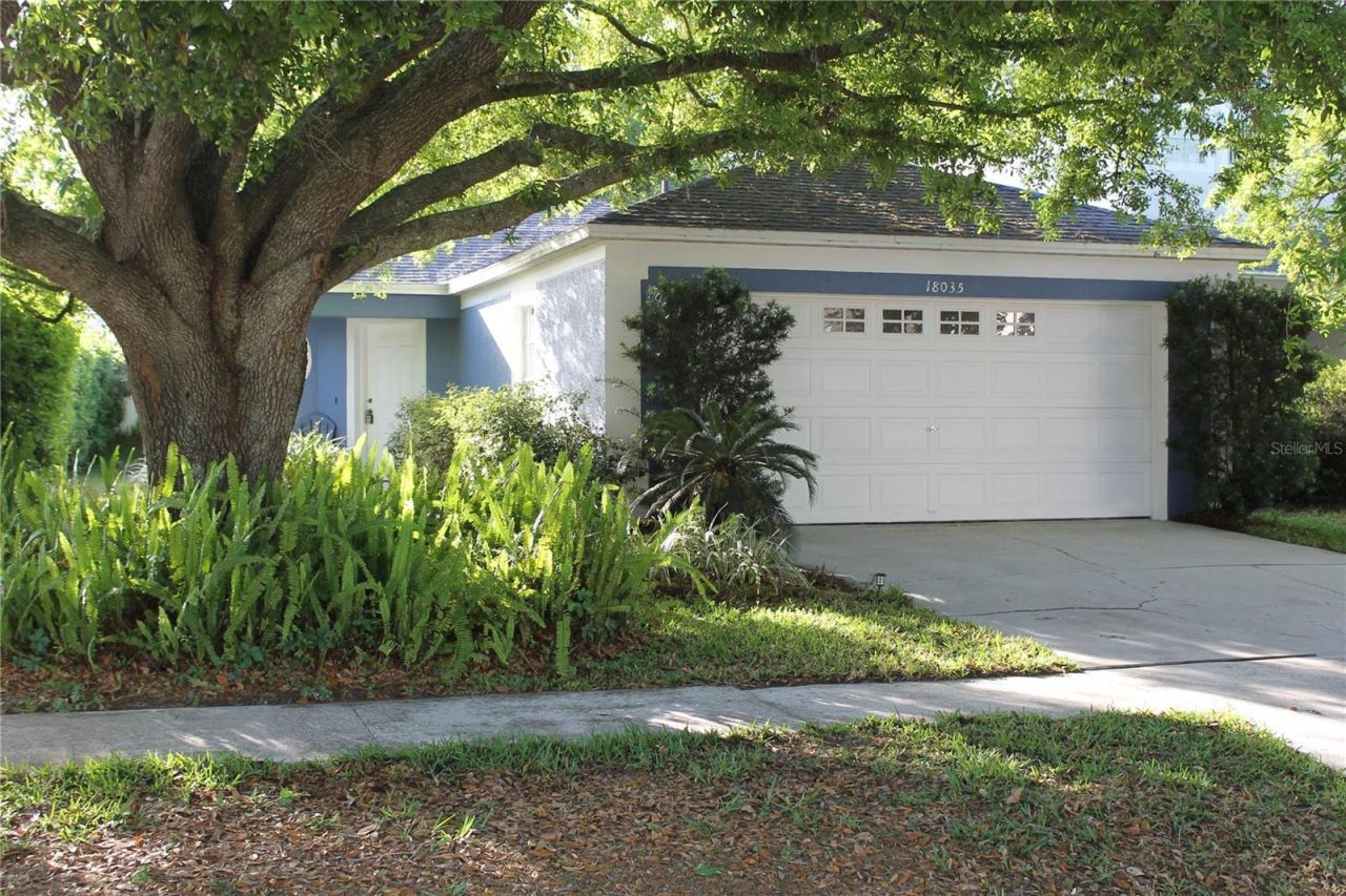 18035 Birdwater Drive , Tampa, FL 33647 Photo