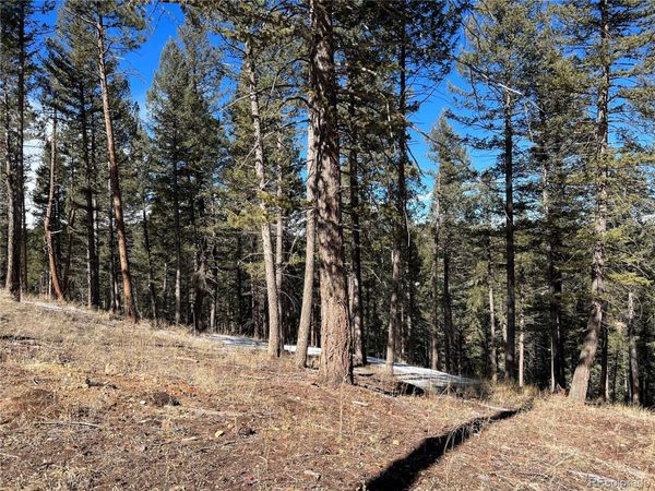 7871 Gold Rush , Morrison, CO 80465