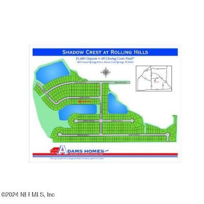 3432 Meadow Ridge Place, Green Cove Springs, FL 32043 Photo