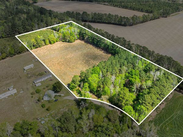 6.5 Acres Christine Pl. , Hemingway, SC 29554