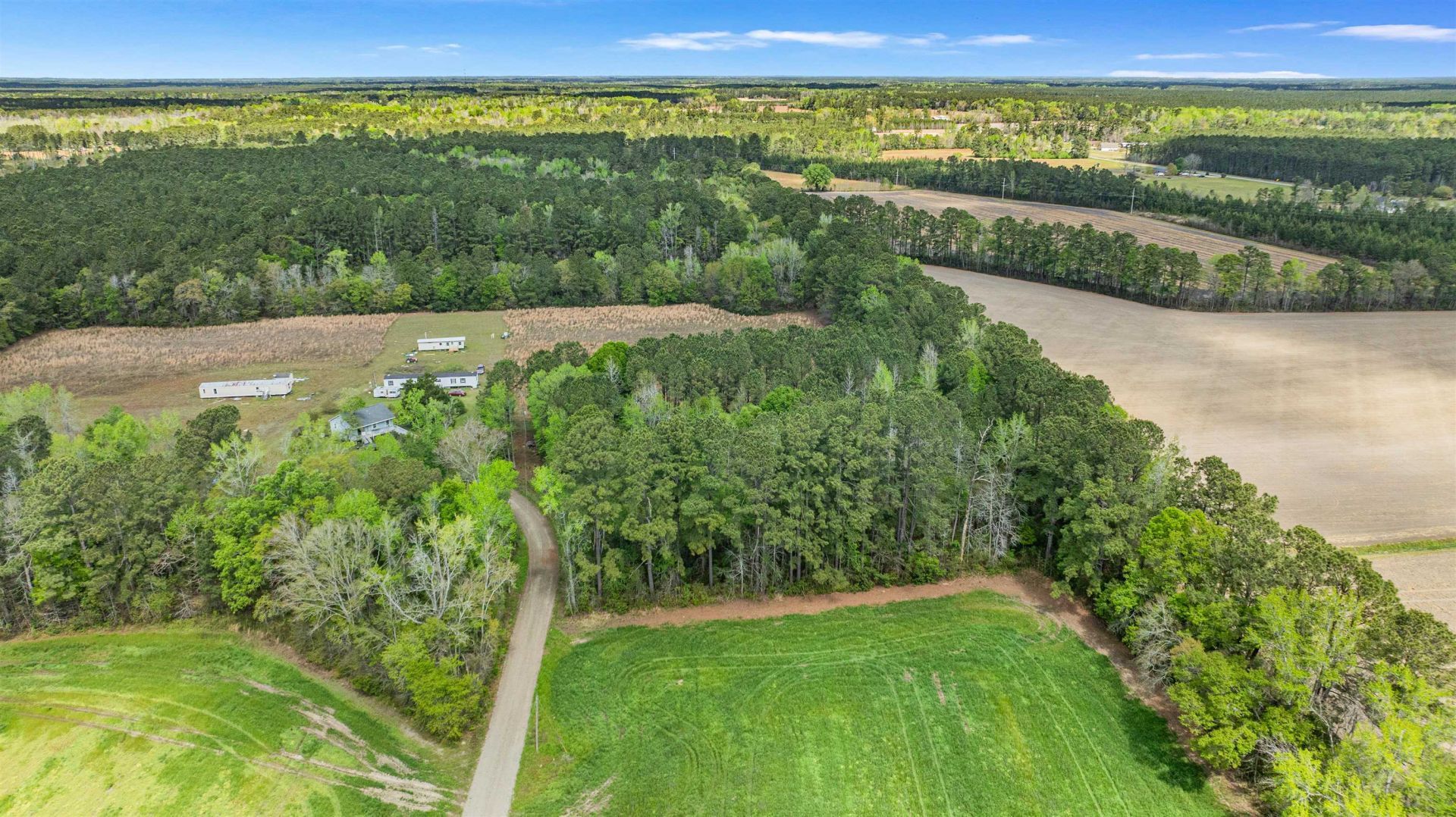 6.5 Acres Christine Pl. Photo 13