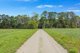 6.5 Acres Christine Pl. photo 4