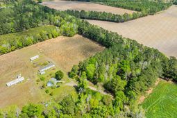 6.5 Acres Christine Pl. photo 4